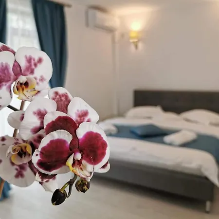 Casa Loro Eforie Sud (Constanta)