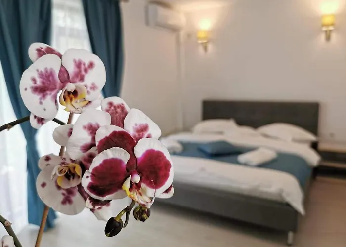 Casa Loro Eforie Sud (Constanta)